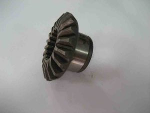 دنده دیشلی بزرگ وکوچک